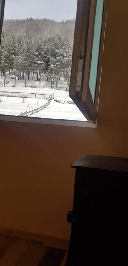 Guesthouse Caucasus Mestia Exterior foto